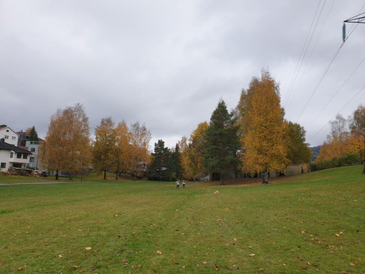 Hovseterdalen