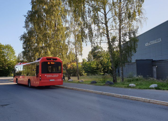 Buss